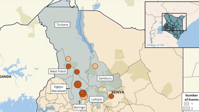 Analysis of the latest political violence and protest trends in Kenya.